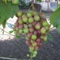 img_1664