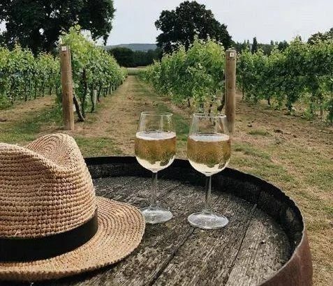 День виноградаря и винодела в Украине