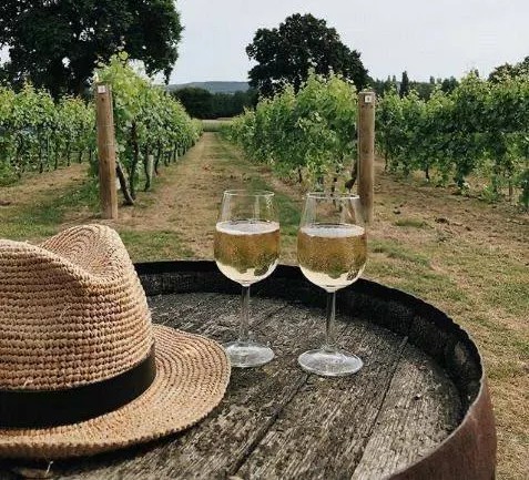 День виноградаря и винодела в Украине